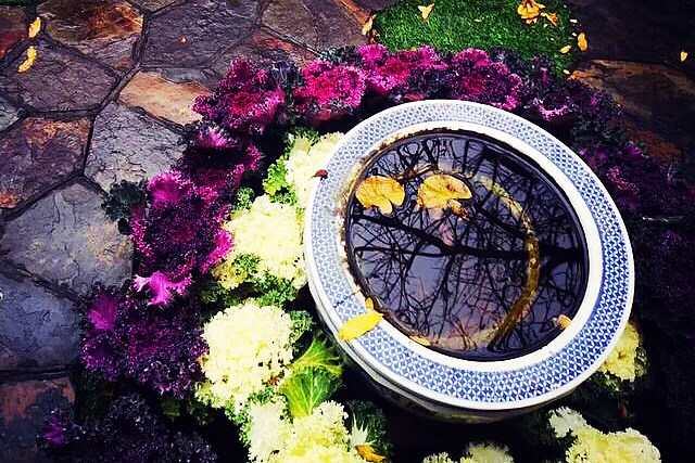 慎独慎思慎行慎言慎悟,慎言慎行慎初精辟句子