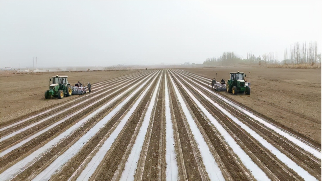 达人西游库尔勒,达人西游新疆