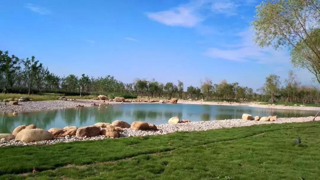 为什么要在新区买房,为什么要在港务区买房