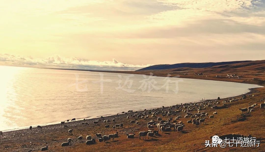 自驾游青海湖景点攻略图片最新版,青海湖自驾游必去景点攻略图
