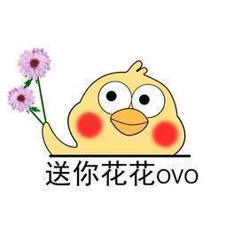 鲜花插花技巧专业术语,插花常见鲜花名称大全