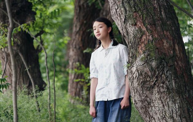 山楂树之恋短文,山楂树之恋你的喜好