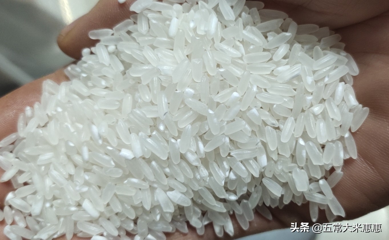 谈谈五常大米的优缺点,然后再决定要不要吃