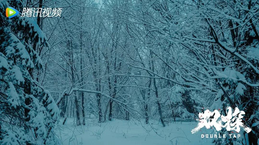 王炸国剧电视剧,王炸最厉害的一场视频