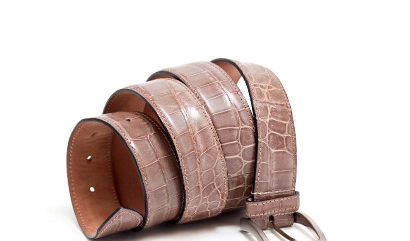 为什么鳄鱼的皮肤像铠甲一样硬,鳄鱼皮为什么值钱