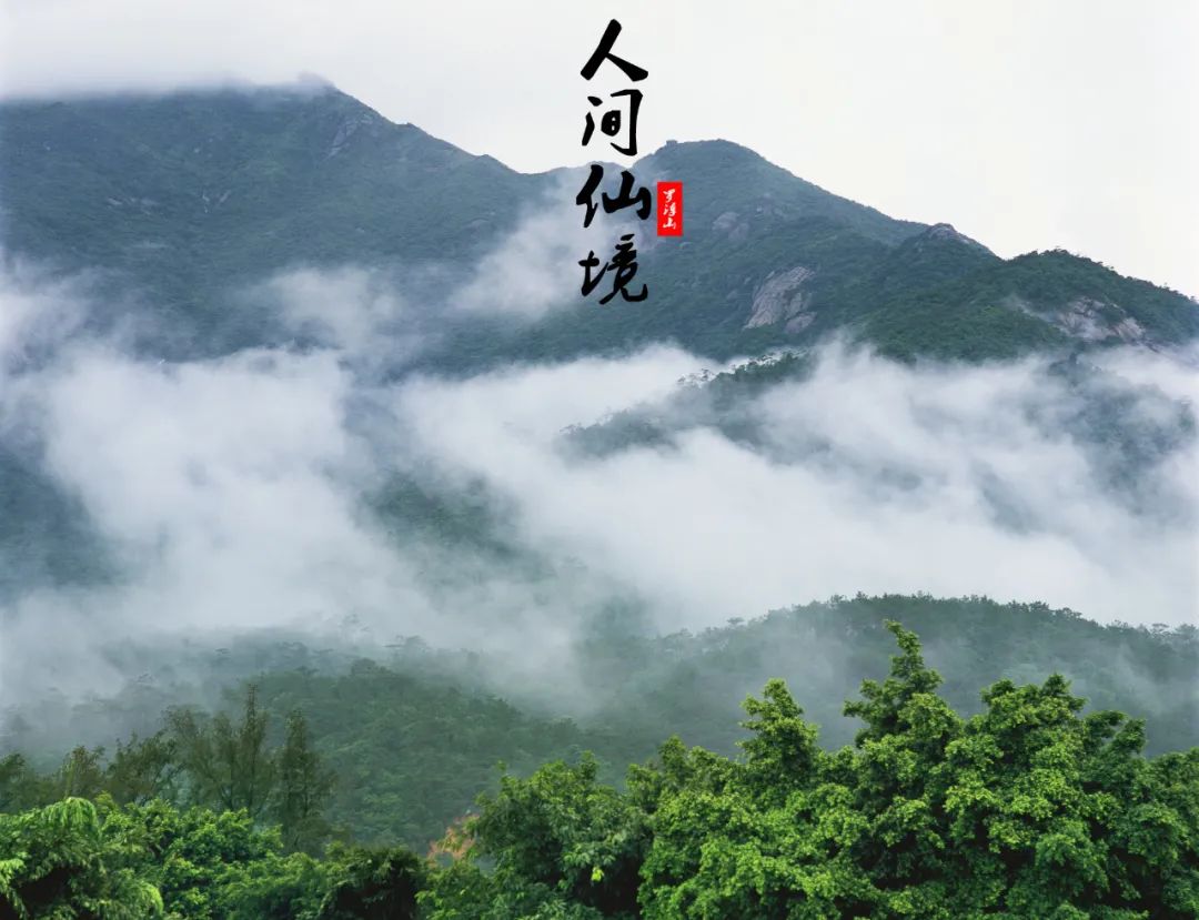 中国天然氧吧在惠州哪里,惠州大自然氧吧