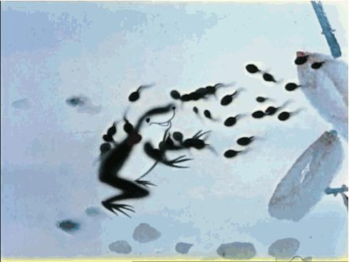 最具水准的中国水墨动画,中国水墨动画合集