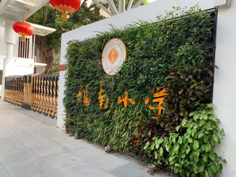 深圳福田竹子林旧改最新消息,福田区旧改最新消息