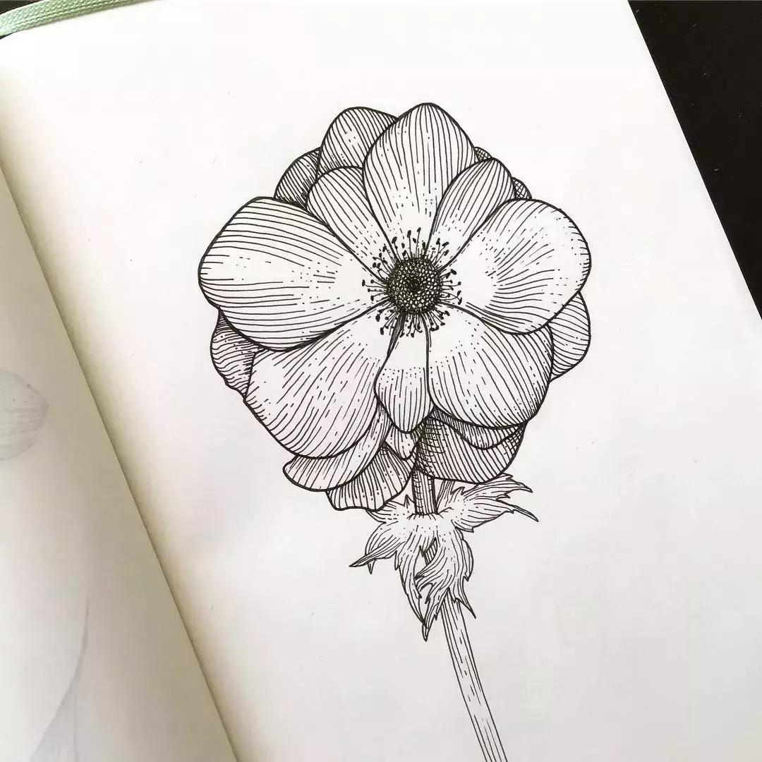 这一波手绘太给力了,绝对让你练完不厉害都难