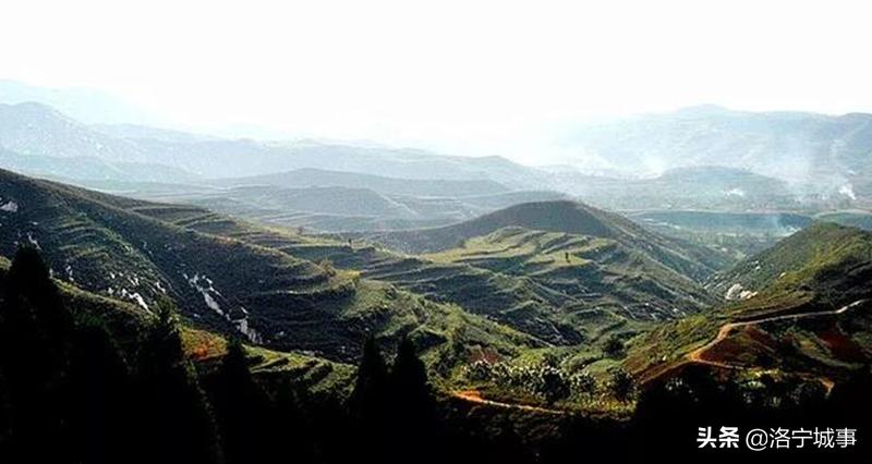 洛宁涧口院东传奇人物之二——老燕硕