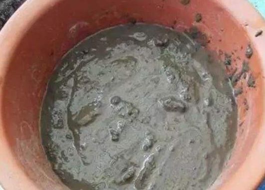 取出的榴莲能放几天,榴莲核种多久能结榴莲