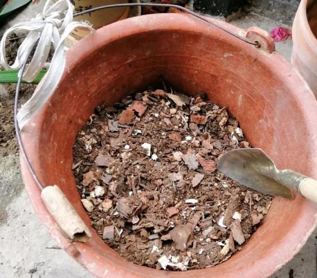 找点土加点料，找个袋子捂一捂，沤成花肥到了秋天就能用