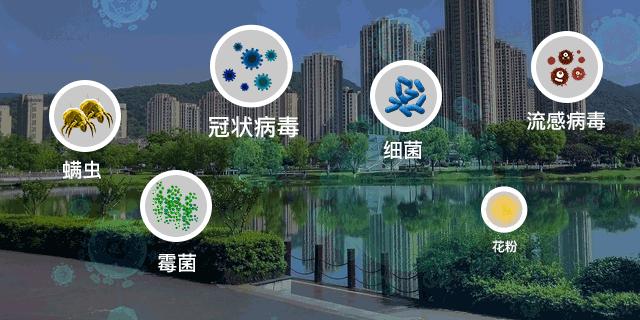 床单睡久了容易螨虫成窝？教你一新招，比太阳暴晒效果好