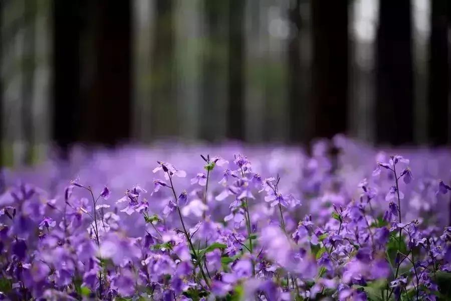 狂飙18级,狂飙18集公路飙车片段在哪