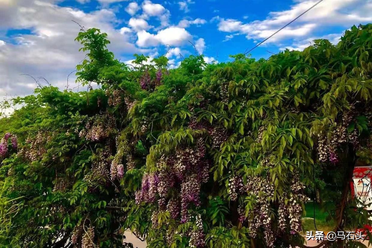 做生意并不是一味去讨好别人,一味讨好别人不叫情商高的表现