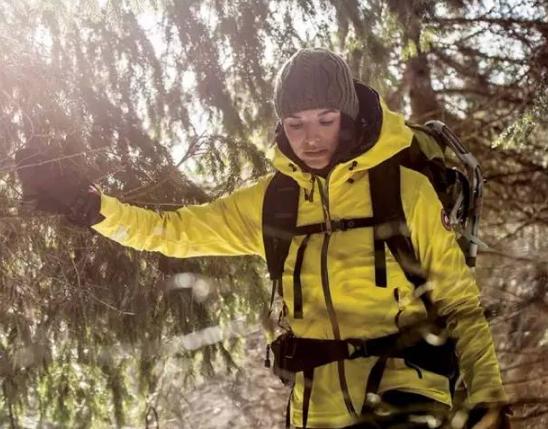 加拿大鹅与国产羽绒服哪个好,国产羽绒服堪比加拿大鹅