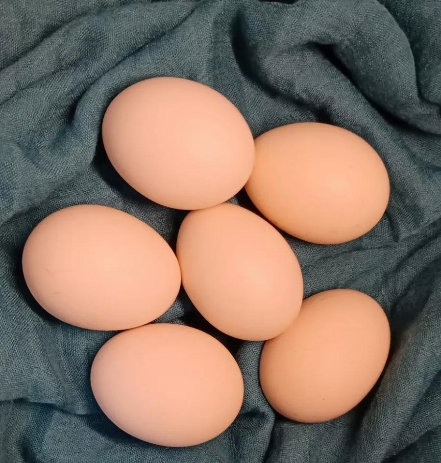 给墙面大翻新自喷漆,给墙面刷涂料