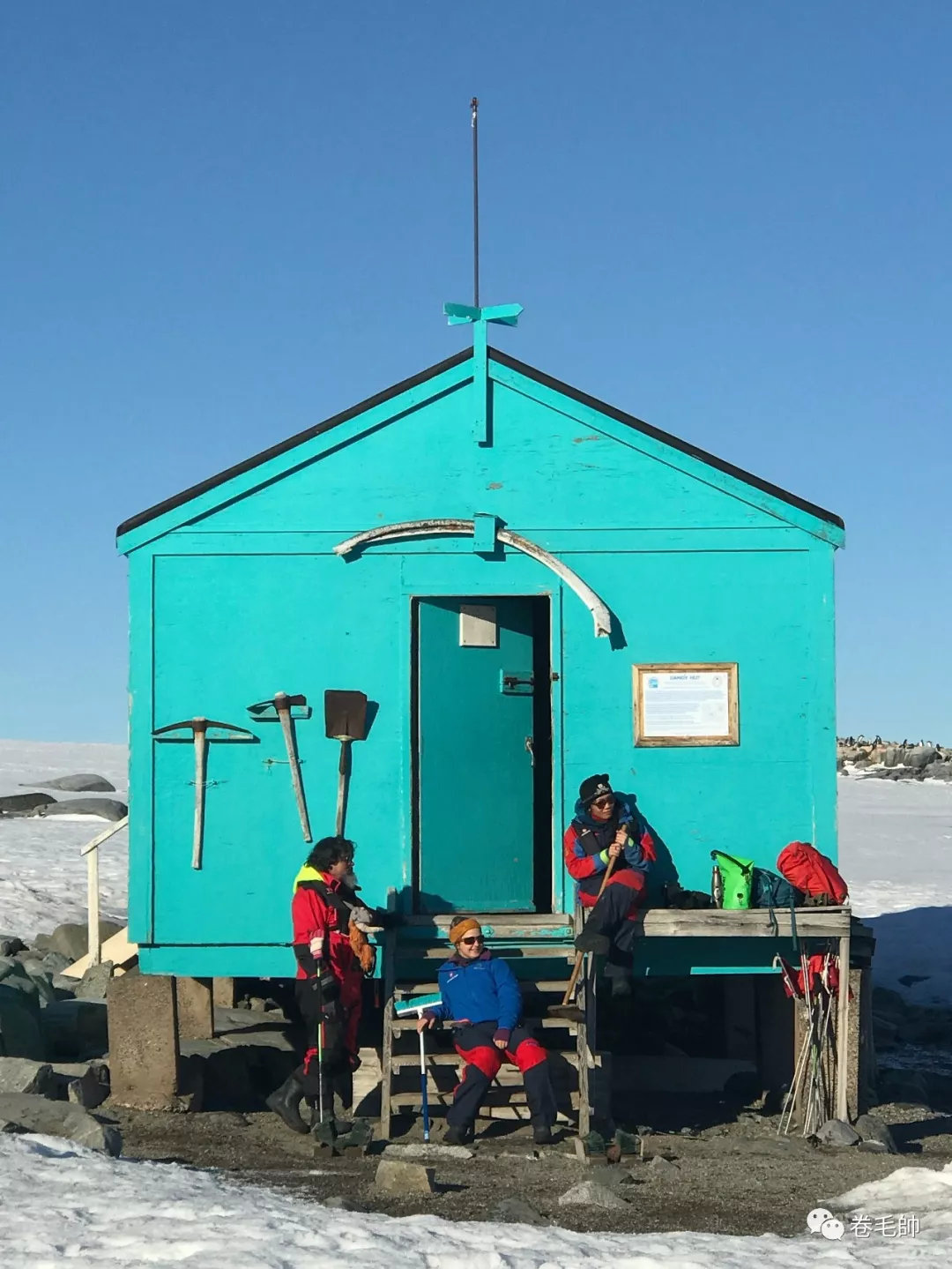 央央：大女主形象没头脑人设