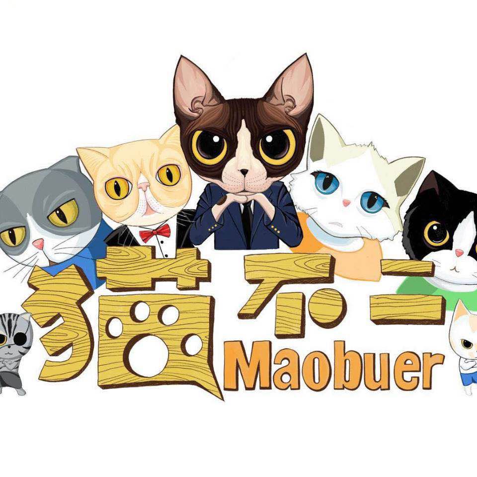 猫舍卖猫这行业为什么这么暴利,猫咪宠物店靠什么盈利