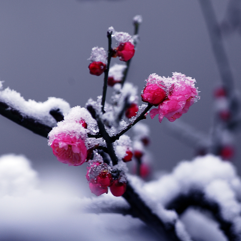 铁道兵战友七夕诗,战友情诗完整版