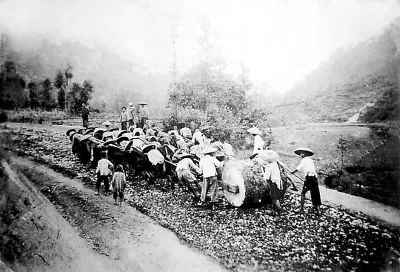 旅博会旅游攻略,带你看旅博会