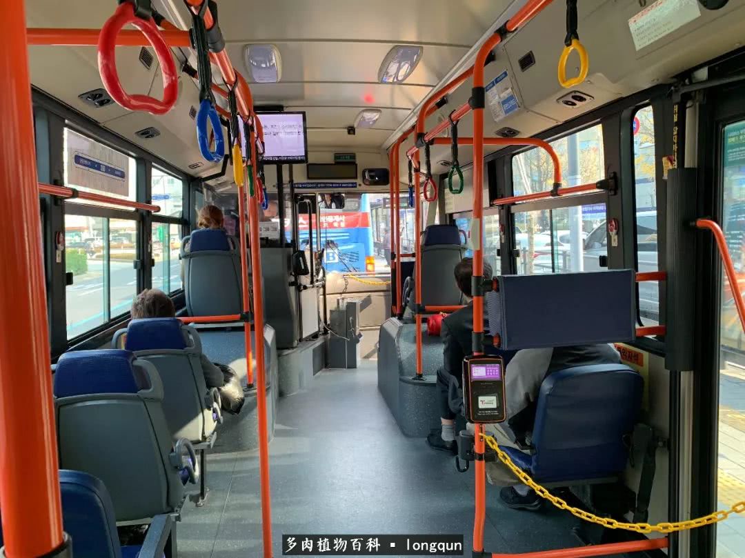 探访韩国肉锥大棚,记一次走访纪录片