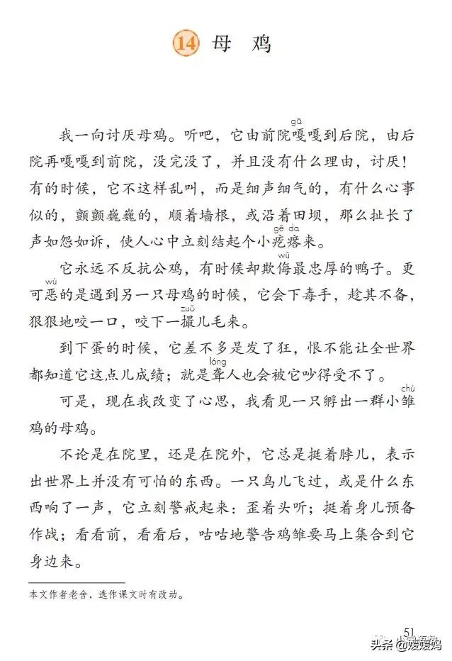 四年级下册第13课小练笔仿写母鸡,四年级下册14课母鸡的预习完整版