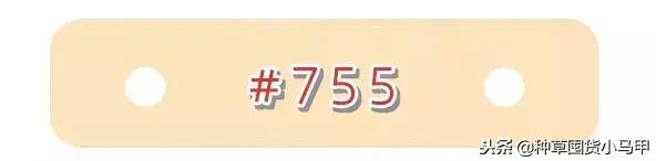 名创优品是骗子平台吗,名创优品有没有假的