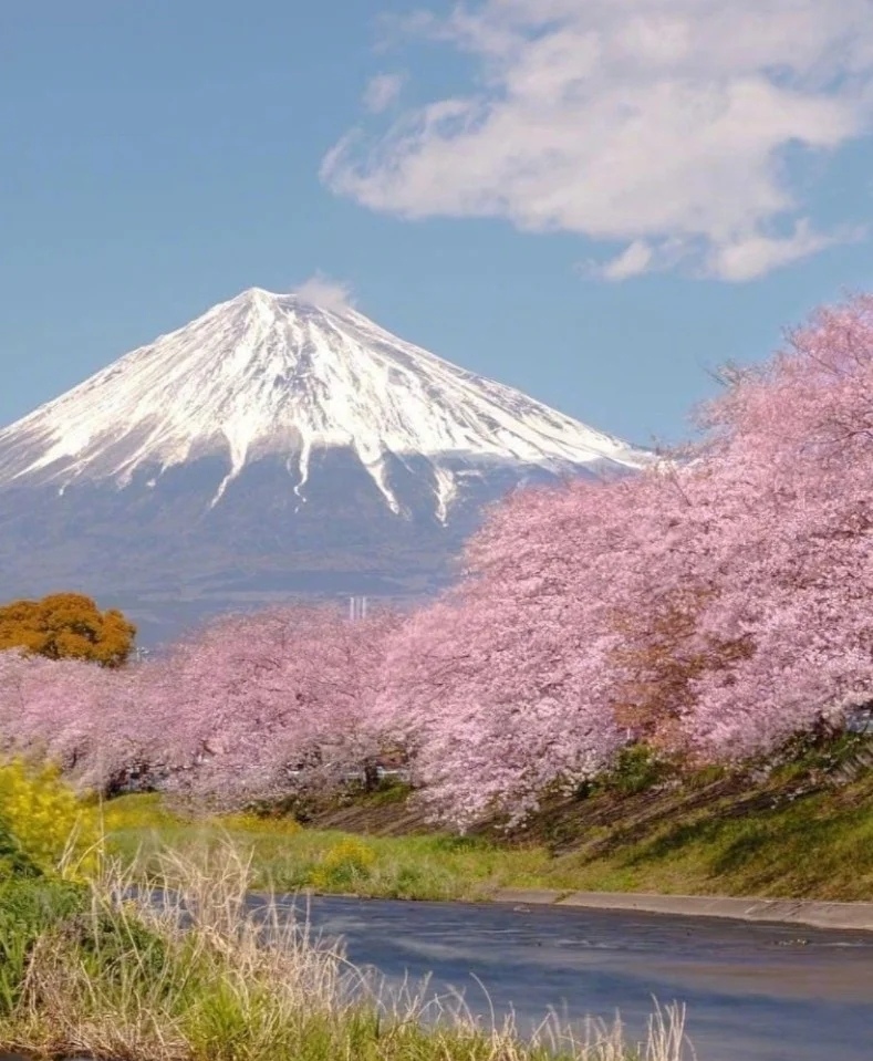 想要留学没钱去哪个国家,想去留学但没钱怎么办