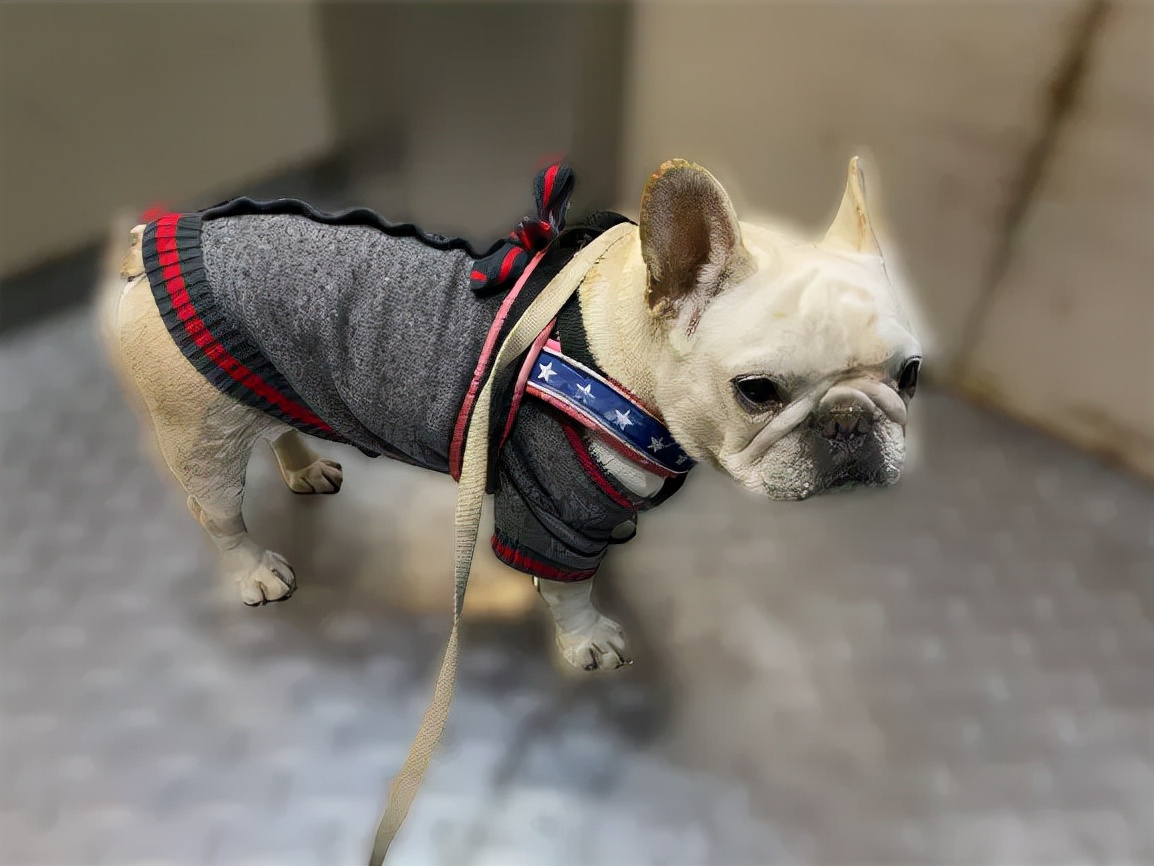 深圳月入过万的低门槛副业：帮人停车、陪人看病、代人遛狗