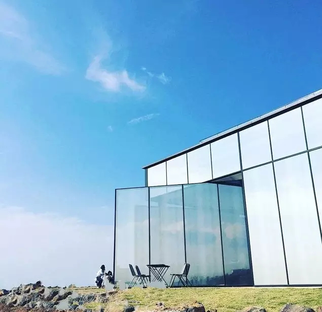 权志龙喜欢樱花和雏菊吗,权志龙最喜欢的所有东西