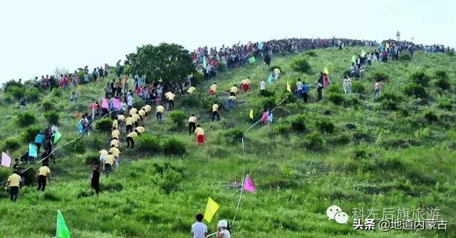 阿古拉湿地草原视频,阿古拉湿地有什么鸟