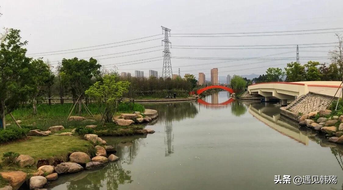 花海生态公园最新,春暖花开湿地公园