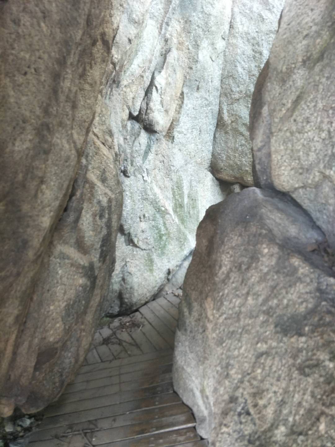 踏春五宝庵风景,踏春五宝庵山在哪里