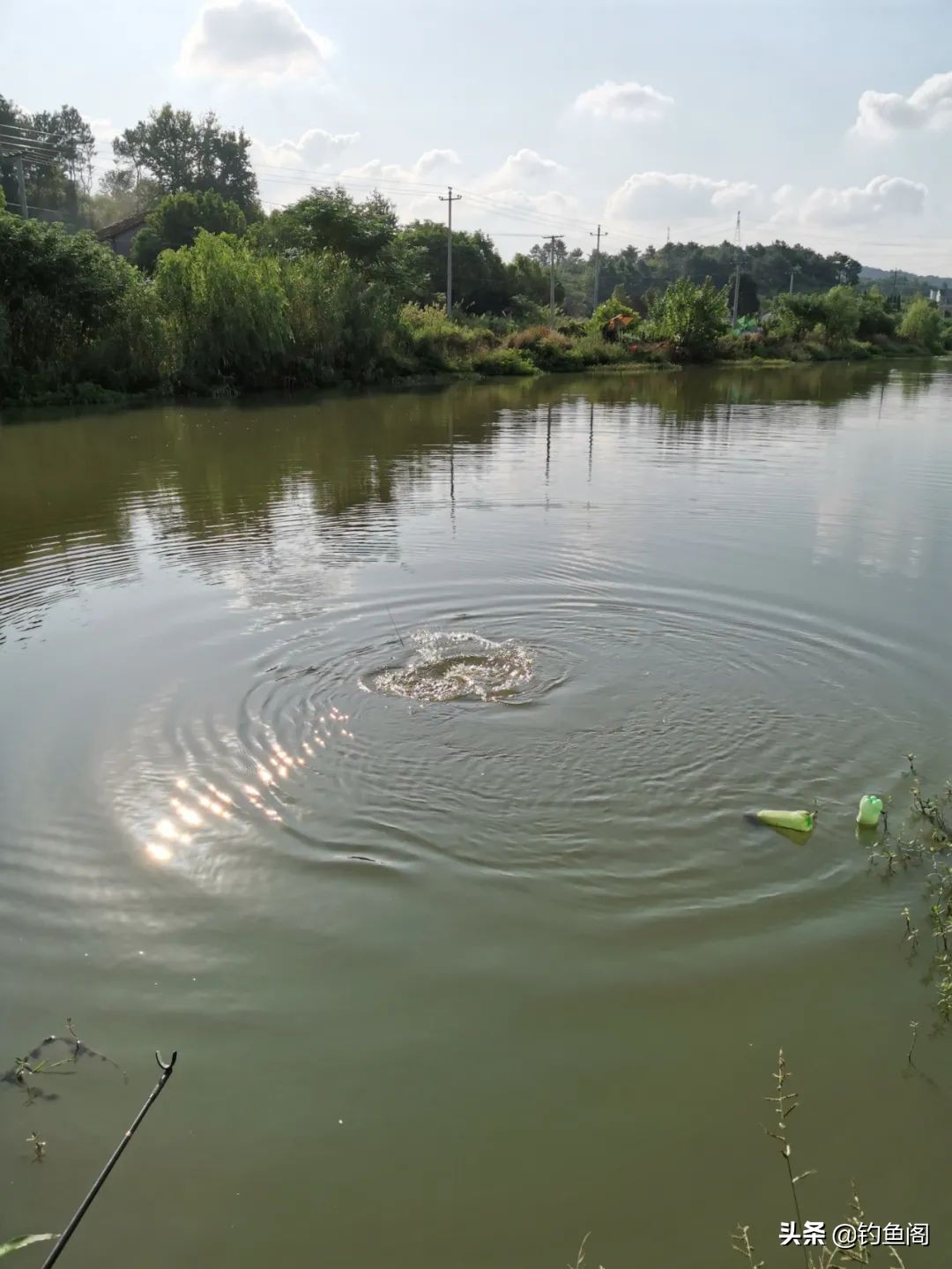 大鱼水深好钓还是水浅好钓,钓大鱼一般钓几米深水