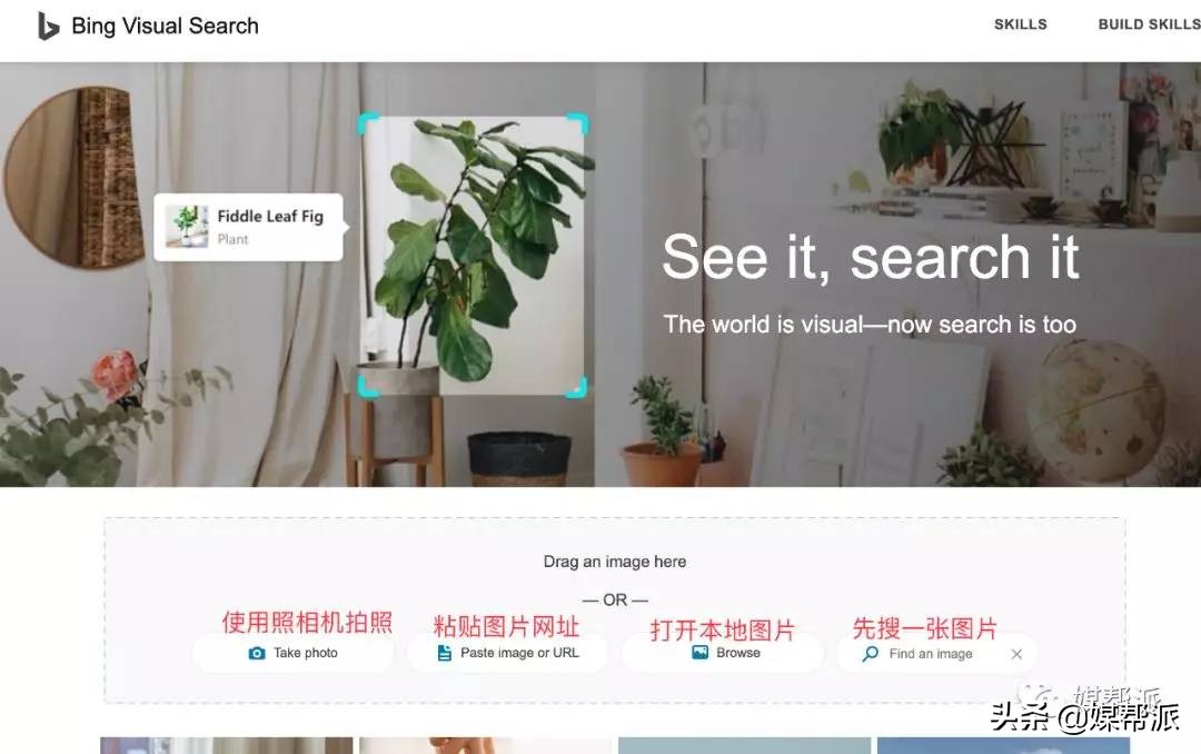 最全识图网站,全网站最全识图工具