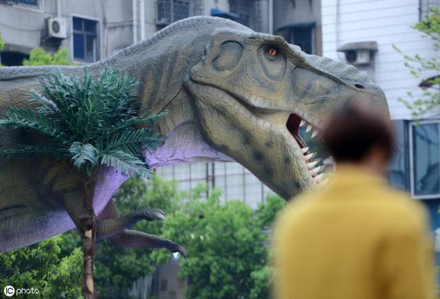 全球十大病毒排行,全球十大最新病毒死亡排行榜