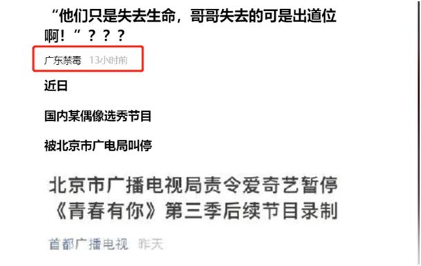 国产虚拟偶像一夜赚了125万元后