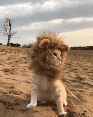 christopherobin,christopherobin护色洗发水