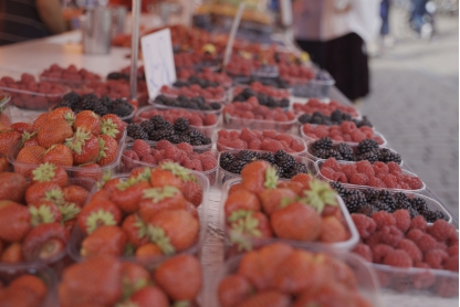 北活游记|来源于自然的食物，都比想象中的更美味，比如芬兰