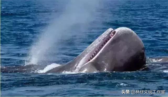 冷门文玩类宝石有哪些,这六种文玩千万不要碰