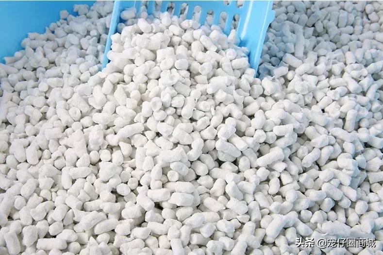 宠物粪便属于什么垃圾,垃圾分类猫砂粪便怎么归类