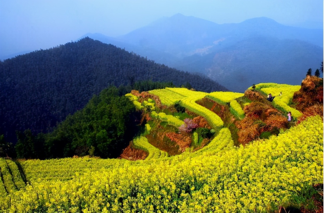 黄山发现一个世外桃源的地方,黄山像世外桃源的地方