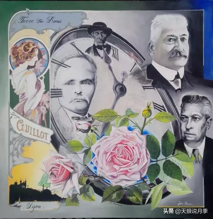 古老月季的魅力,40种中国古老月季