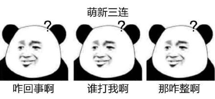 熊猫头抱着男的表情包,熊猫头手捧鲜花求婚表情包