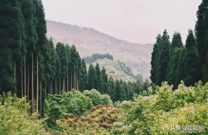 温度升高之前采摘樱桃,成都周边可摘樱桃的古镇