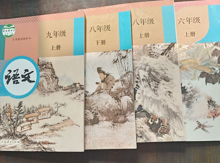 颜建国,颜建国语文讲座