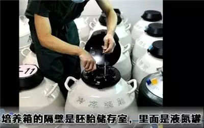 做试管婴儿的全场视频,揭秘试管婴儿的全过程