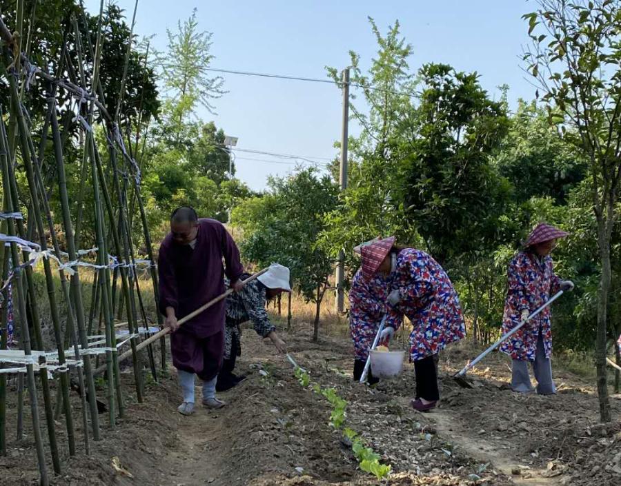 抢抓农时开展农业生产,农民纷纷抢抓春耕生产有利时机