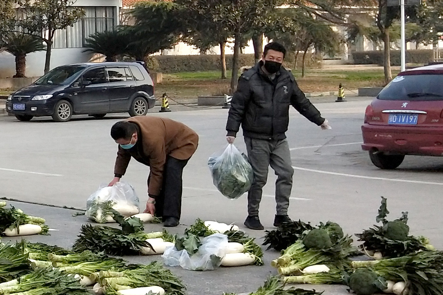 瀹堟姢鏍″洯鎶楀嚮鐤儏,鎶楃柅鍖绘姢浜哄憳瀹堟姢鏍″洯
